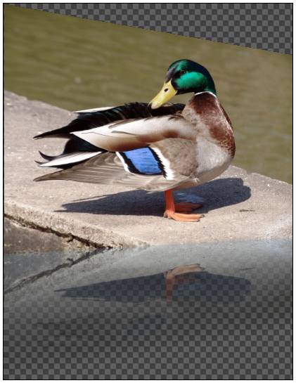 gallery__gallery_deformations9