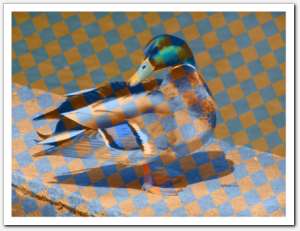 gallery_chessboard26