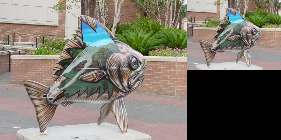 -input images/fish.jpg -rs. 50%,,5 [-1] -rs. 50%,,5