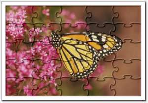 gallery__gallery_arrays2
