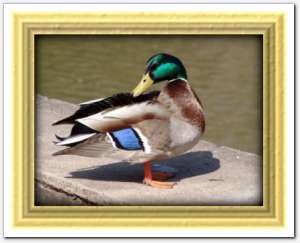 gallery_frame_painting8