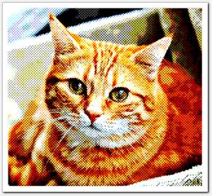 gallery_halftone29