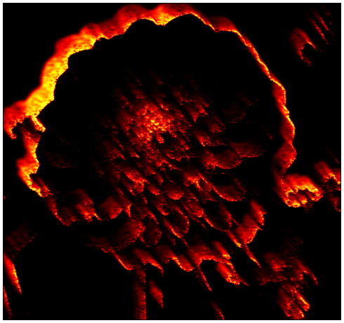 gallery__gallery_artistic4