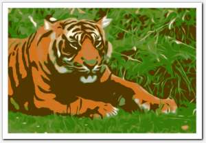 gallery__gallery_artistic21