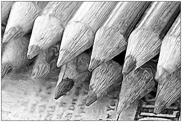 gallery_pencilbw8