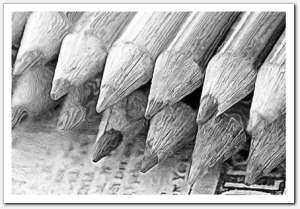 gallery_pencilbw8