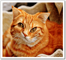 gallery__gallery_codesamples15