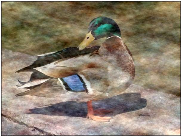 gallery__gallery_filtering1