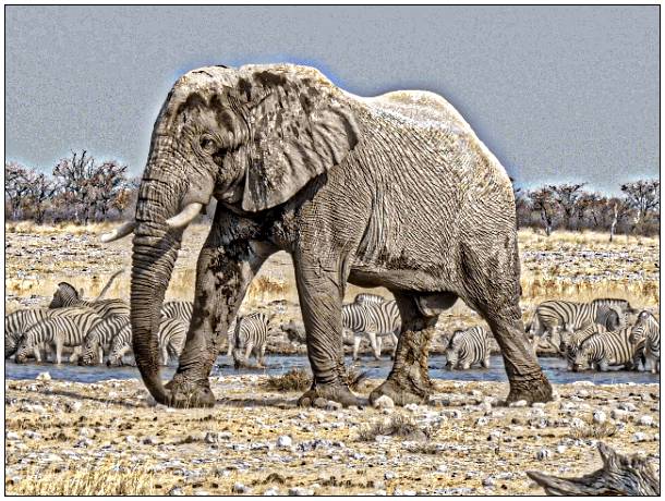 gallery__gallery_filtering3