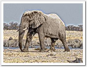 gallery__gallery_filtering3
