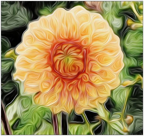 gallery__gallery_filtering5