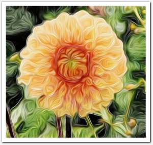 gallery__gallery_filtering5