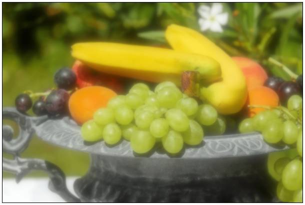 gallery__gallery_filtering6