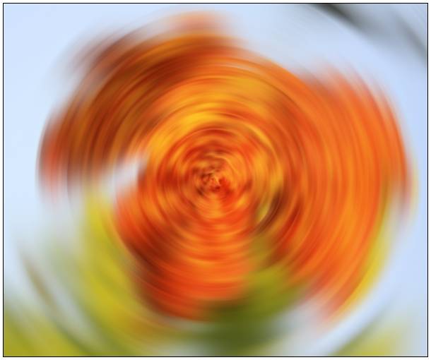 gallery_blur_angular11