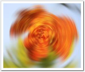 gallery_blur_angular11