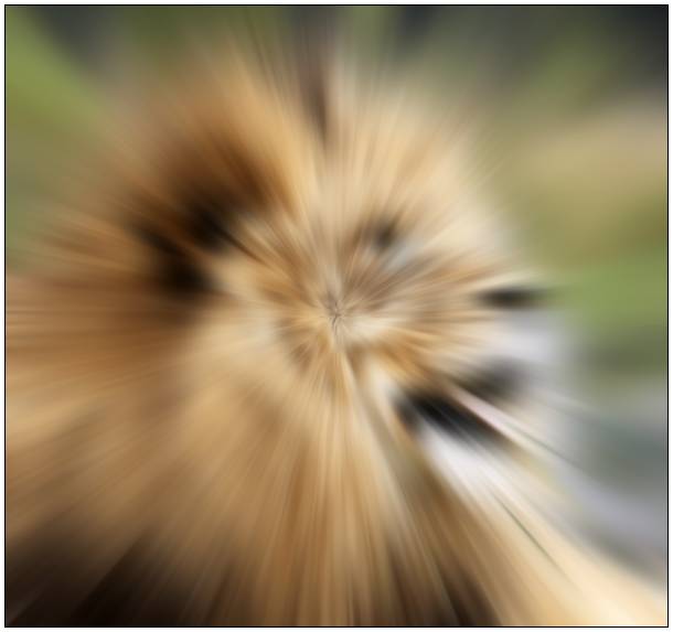 gallery_blur_radial13