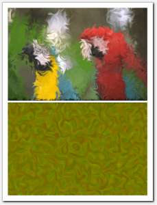 gallery_smooth16