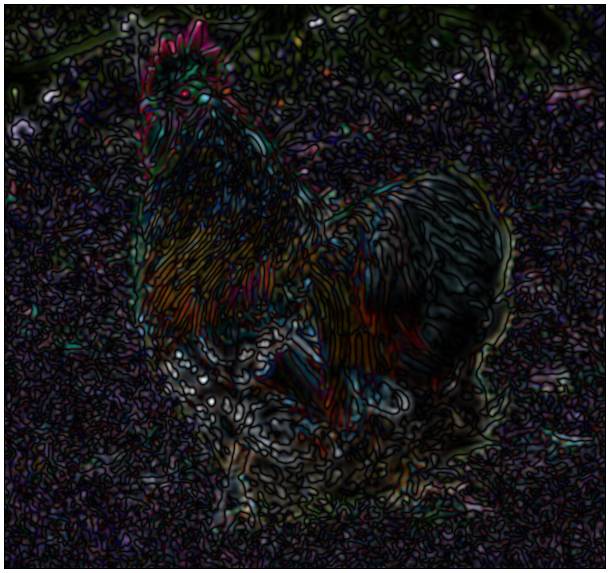 gallery_dog18