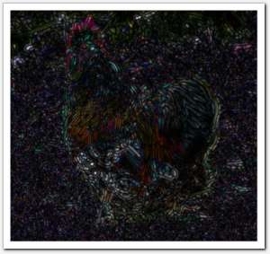 gallery_dog18