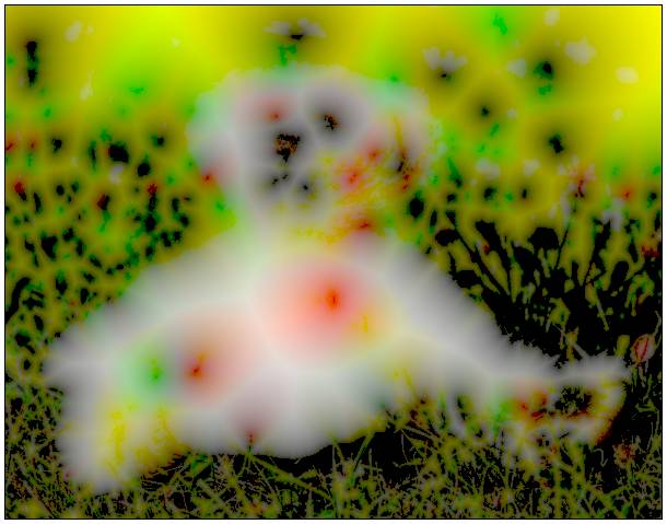gallery_distance21