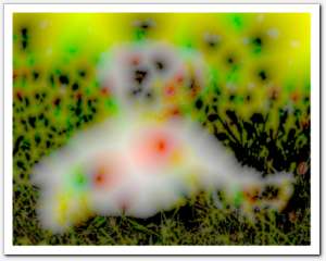 gallery_distance21