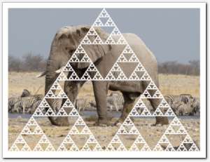 gallery_sierpinski28