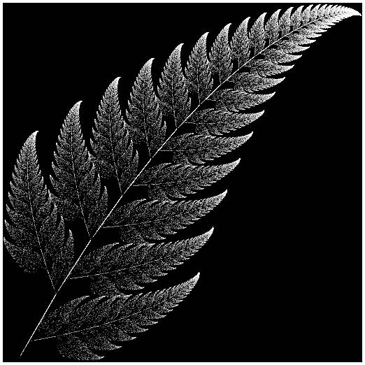 gallery_shape_fern26